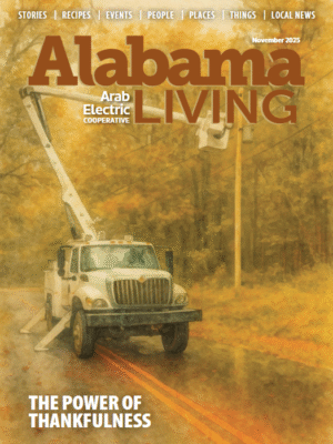 Screenshot 2025 10 31 093804