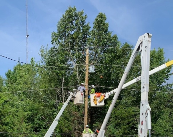 arab electric worker